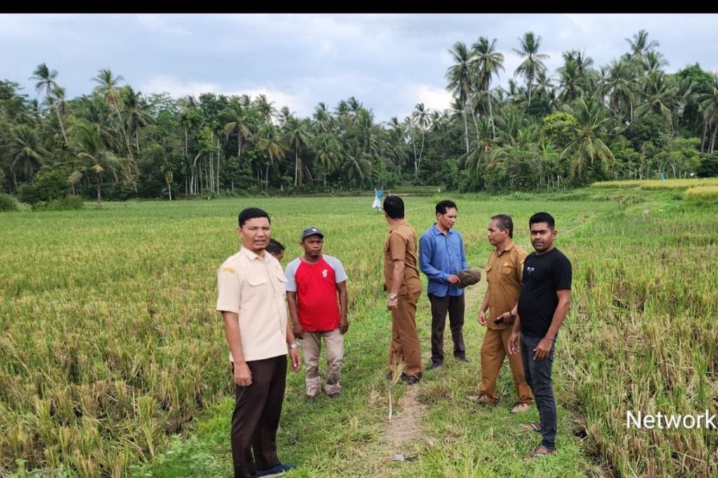 Begini komitmen Pemkab Aceh Besar tingkatkan produktivitas&nbsp;petani